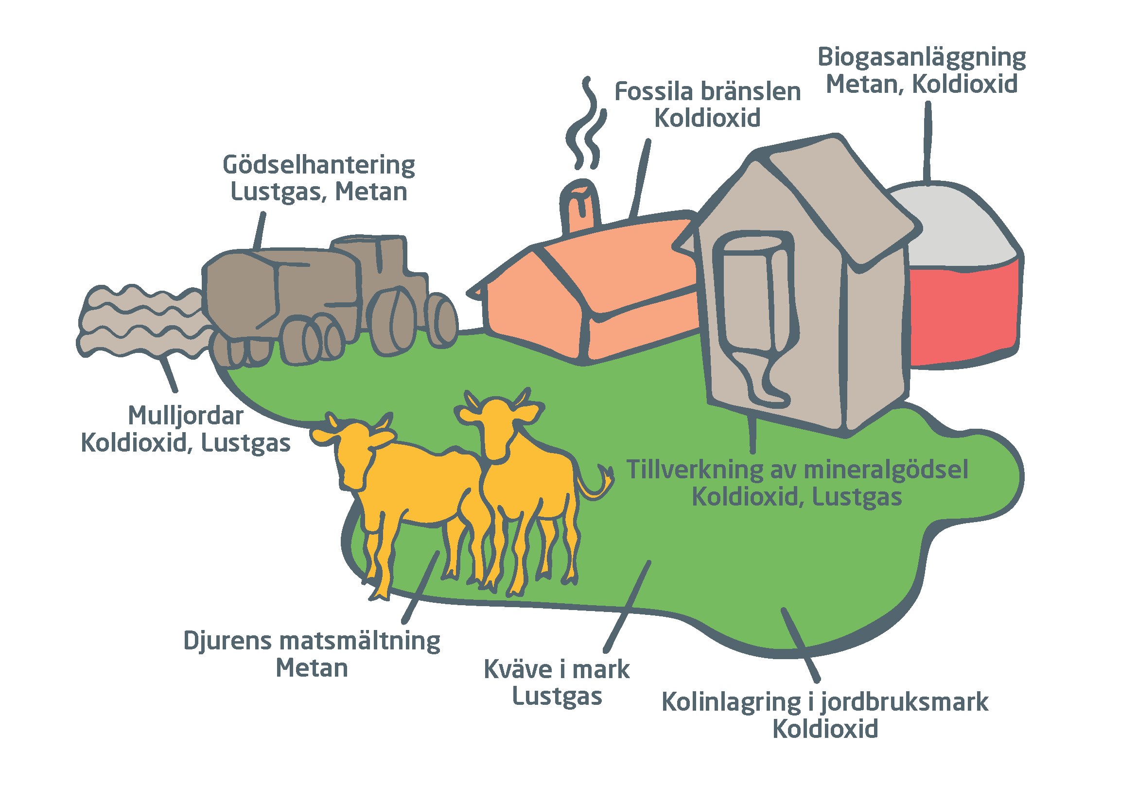 En tecknad översiktlig bild av en bondgård, med djur, fordon, mark, gödsel och byggnader. Streck från de olika delarna av gården visar vilken typ av gas som kommer från, eller binds av, dem.